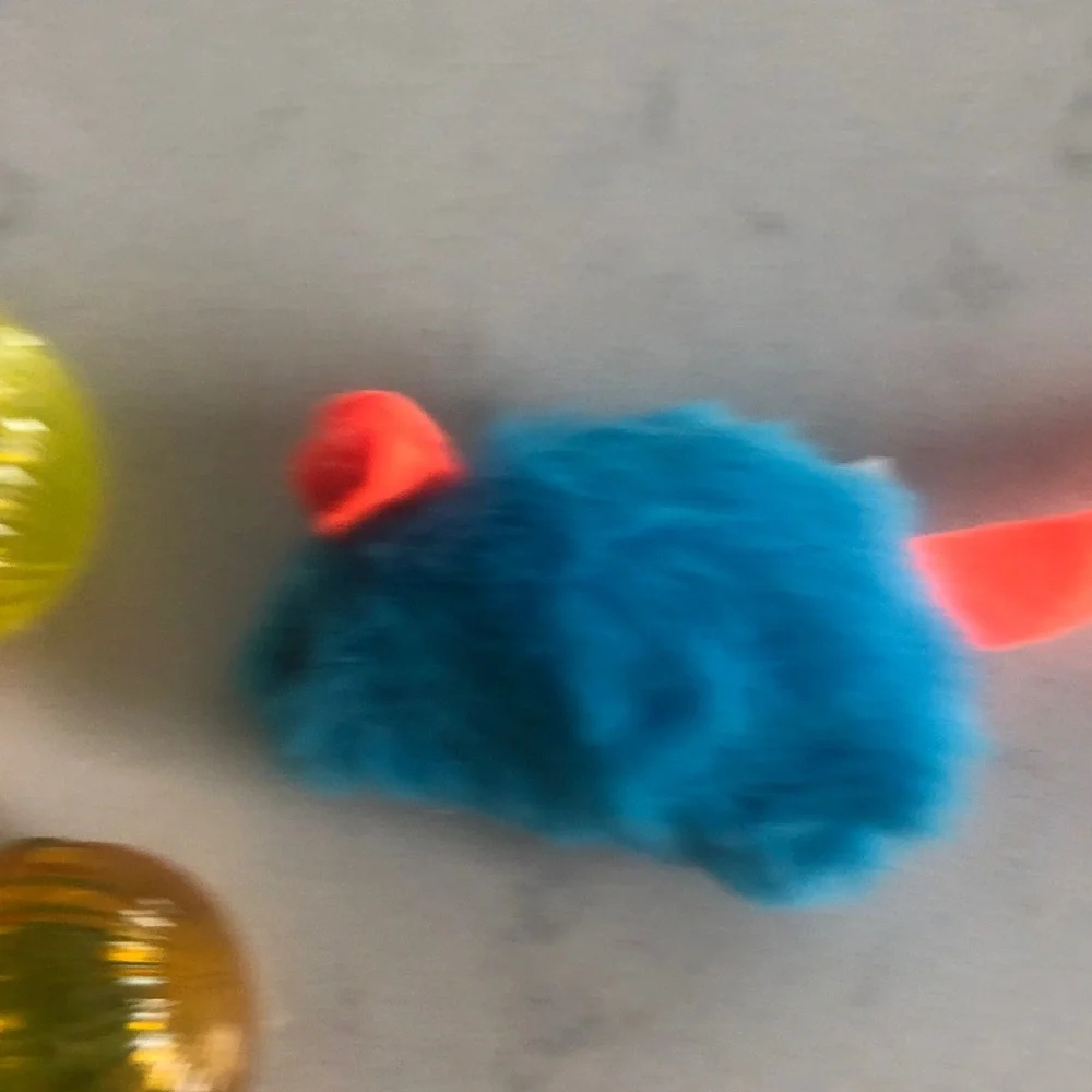 Family Pet Cat Toys Set - Yellow, Blue, Pink